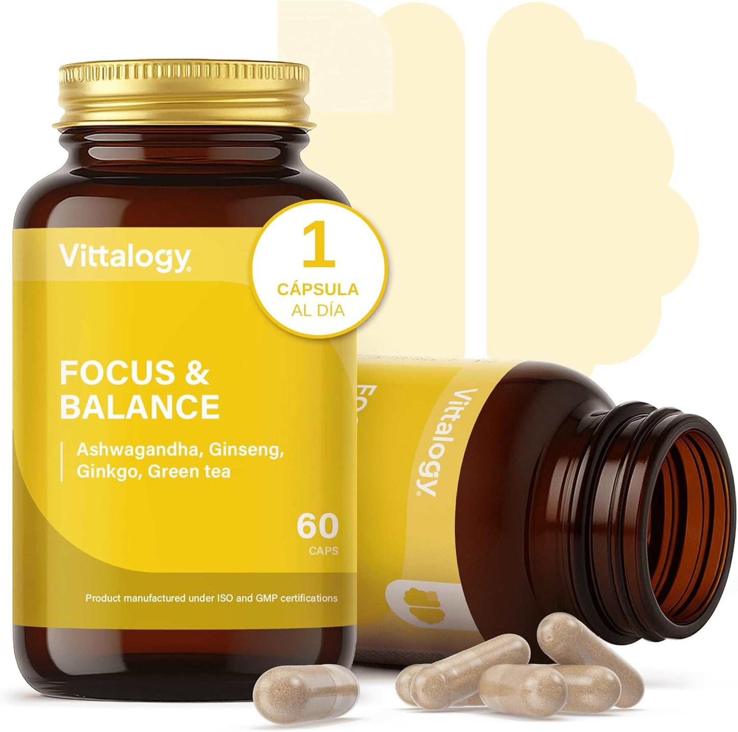 VITTALOGY Focus & Balance Complemento Alimenticio Nootrópico Con Ashwagandha Para Memoria Y Concentración. Suplemento Antiestrés De Té Verde, Ginseng Y Vitaminas B3, B5 Y B1 Para Estudiar. 60 Cápsulas