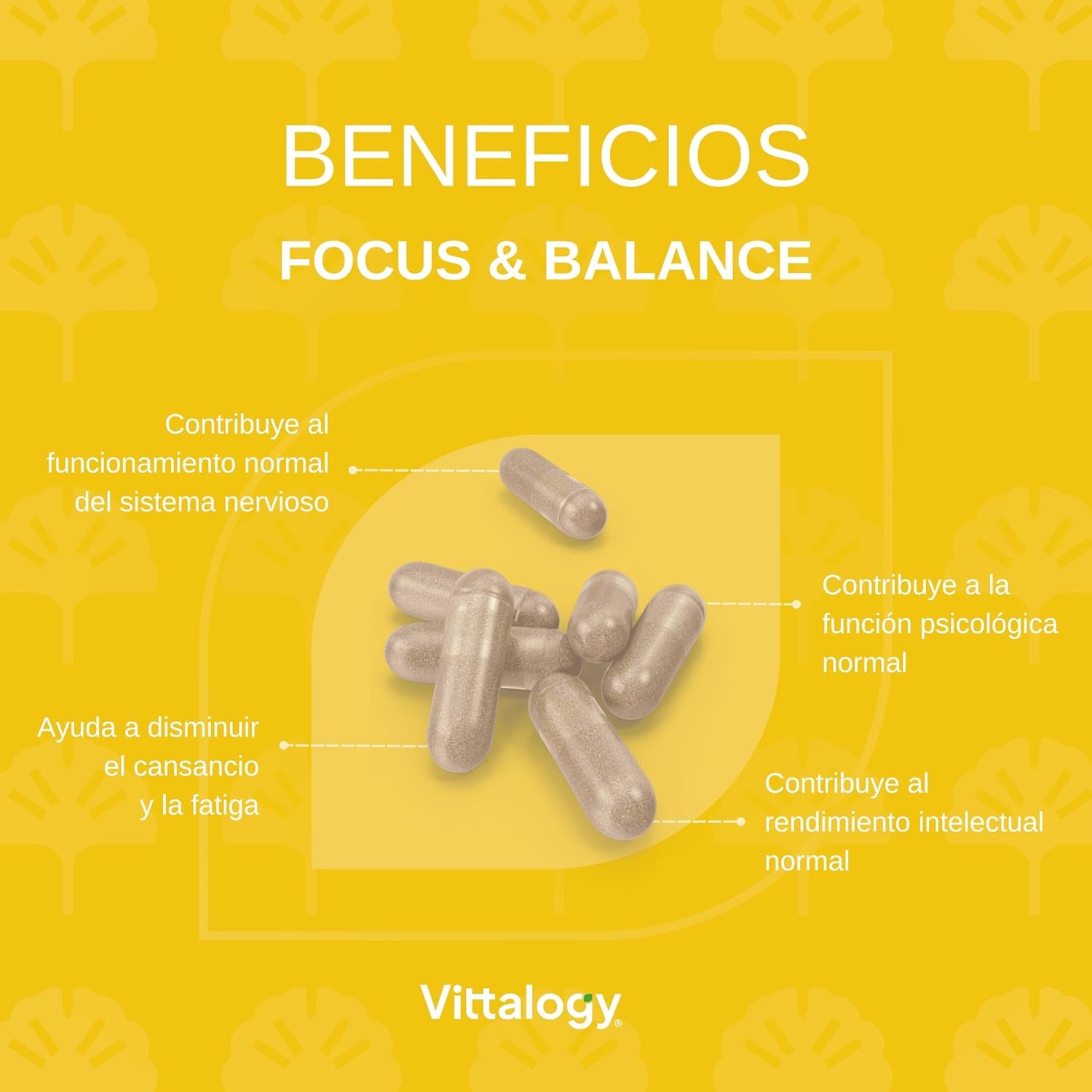 VITTALOGY Focus & Balance Complemento Alimenticio Nootrópico Con Ashwagandha Para Memoria Y Concentración. Suplemento Antiestrés De Té Verde, Ginseng Y Vitaminas B3, B5 Y B1 Para Estudiar. 60 Cápsulas