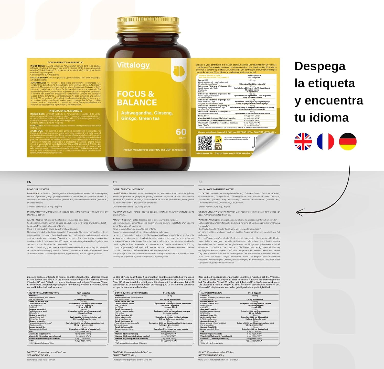 VITTALOGY Focus & Balance Complemento Alimenticio Nootrópico Con Ashwagandha Para Memoria Y Concentración. Suplemento Antiestrés De Té Verde, Ginseng Y Vitaminas B3, B5 Y B1 Para Estudiar. 60 Cápsulas