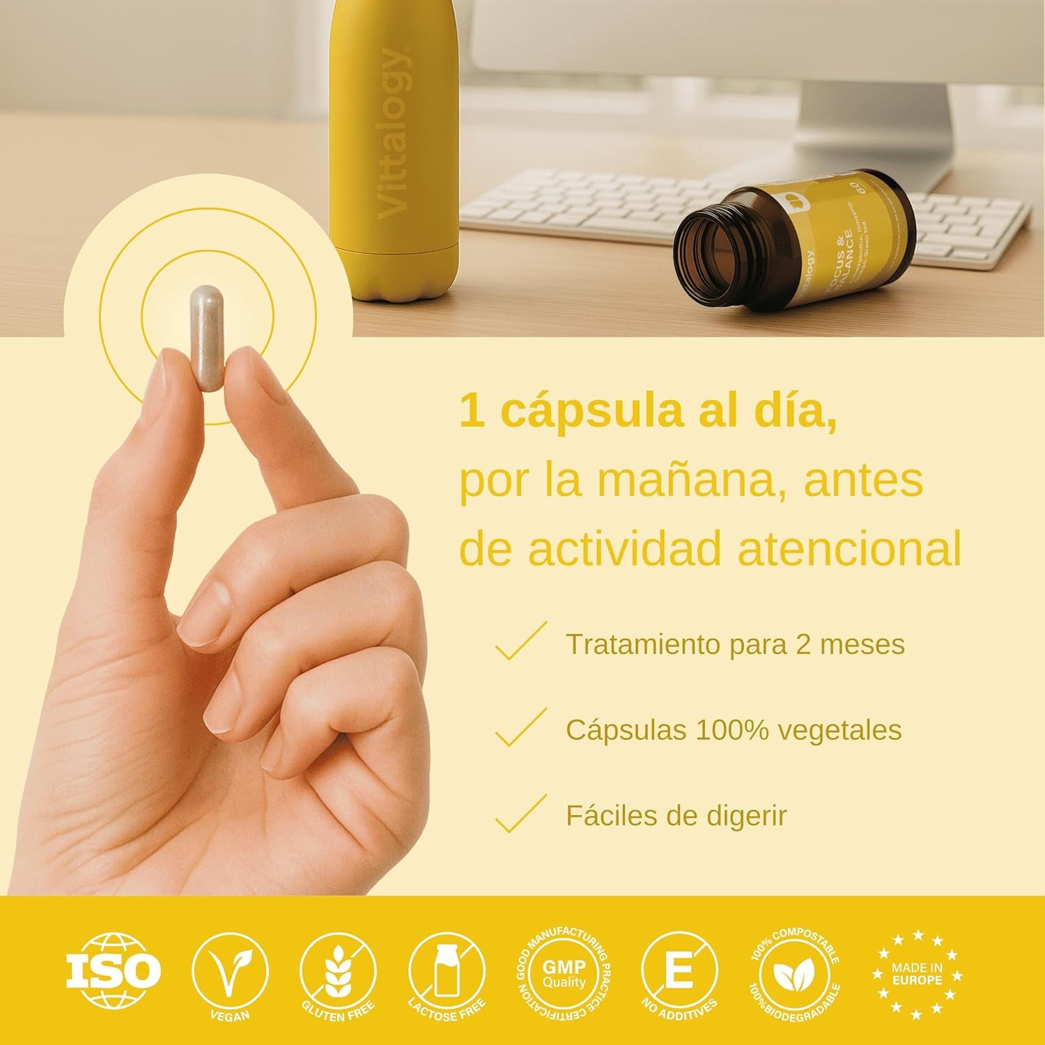 VITTALOGY Focus & Balance Complemento Alimenticio Nootrópico Con Ashwagandha Para Memoria Y Concentración. Suplemento Antiestrés De Té Verde, Ginseng Y Vitaminas B3, B5 Y B1 Para Estudiar. 60 Cápsulas