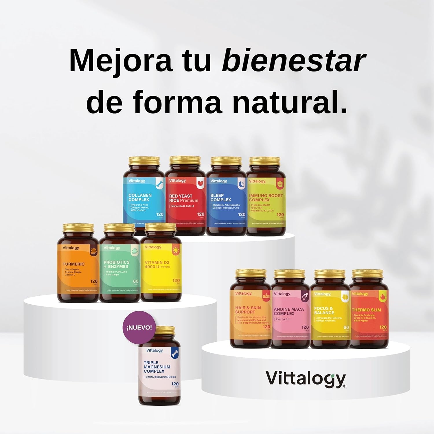 VITTALOGY Focus & Balance Complemento Alimenticio Nootrópico Con Ashwagandha Para Memoria Y Concentración. Suplemento Antiestrés De Té Verde, Ginseng Y Vitaminas B3, B5 Y B1 Para Estudiar. 60 Cápsulas