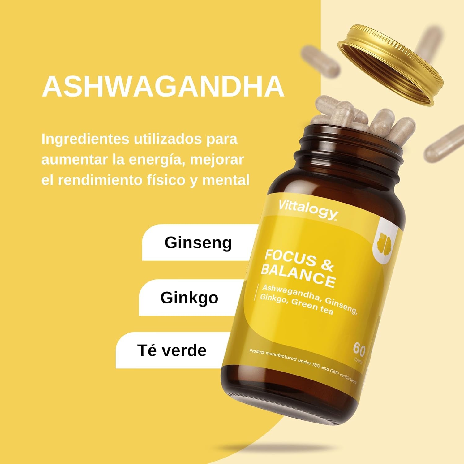 VITTALOGY Focus & Balance Complemento Alimenticio Nootrópico Con Ashwagandha Para Memoria Y Concentración. Suplemento Antiestrés De Té Verde, Ginseng Y Vitaminas B3, B5 Y B1 Para Estudiar. 60 Cápsulas